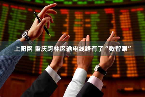 上阳网 重庆跨林区输电线路有了“数智眼”