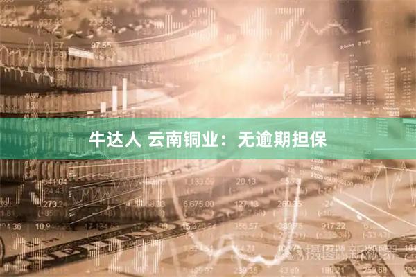 牛达人 云南铜业：无逾期担保