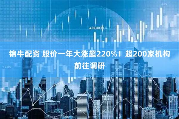 锦牛配资 股价一年大涨超220%！超200家机构前往调研